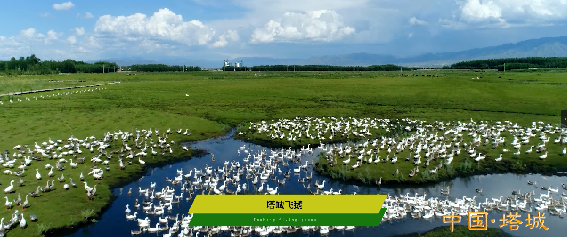 &#19975;&#35937;&#22478;&#40;&#20013;&#22269;&#41;&#87;&#97;&#110;&#120;&#105;&#97;&#110;&#103;&#99;&#104;&#101;&#110;&#103;